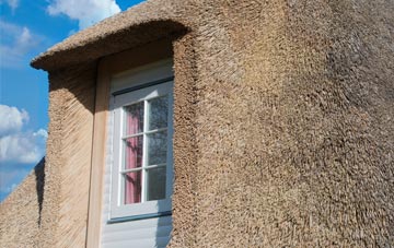 Veraby thatch roof disadvantages